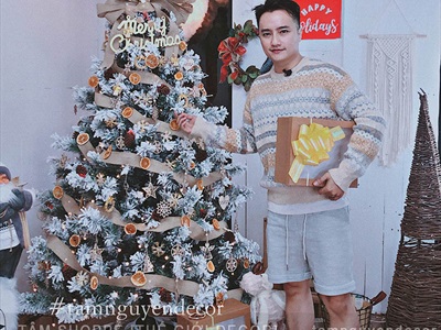 Cây thông Noel phủ tuyết A4 [Cao 1m5-4m5] X-TREE-17